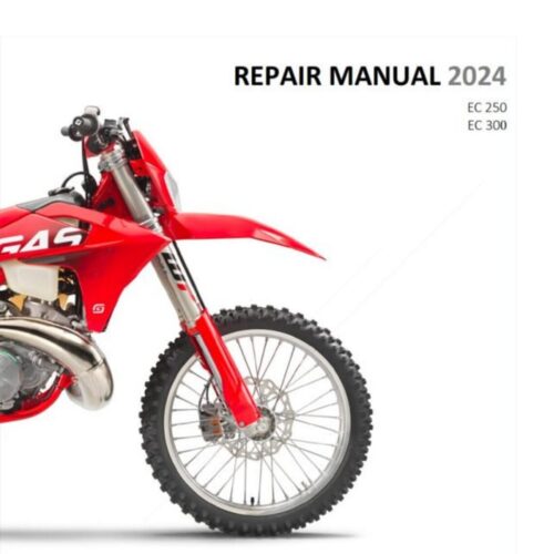 GasGas EC 250 EC 300 Service manual 2024 Pdf