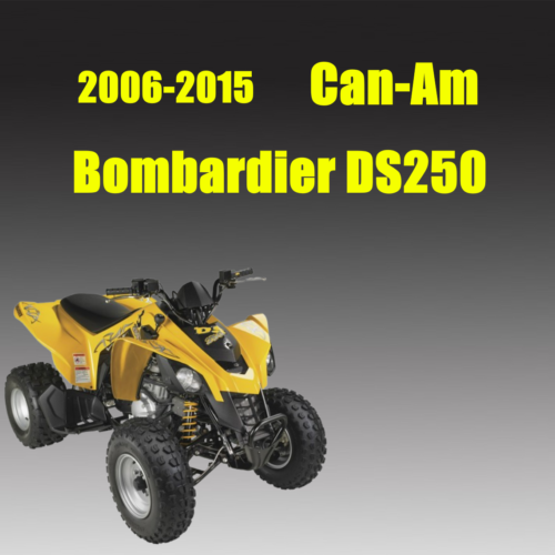 Can-Am Bombardier DS250 Repair manual 2006-2015 Pdf